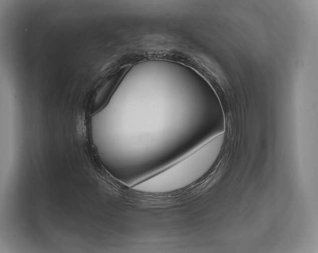 X0000112031252200908031015