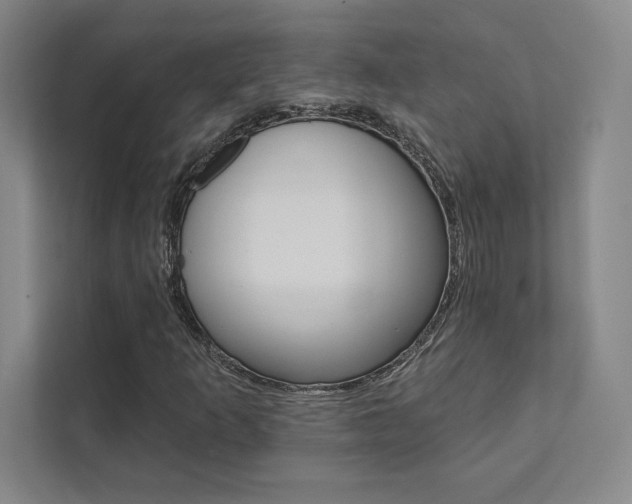X0000112031253200908031015