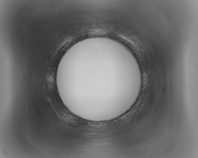 X0000112031254200908031015
