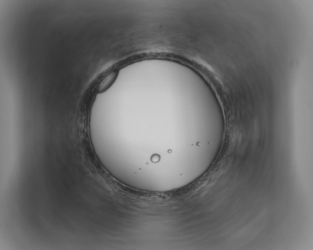 X0000112031255200908031015
