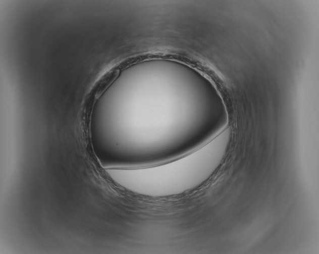 X0000112031256200908031015