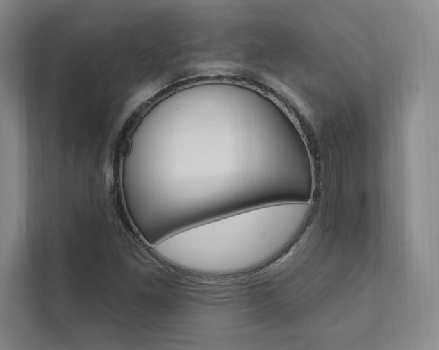 X0000112031261200908031015