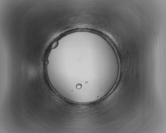 X0000112031263200908031015