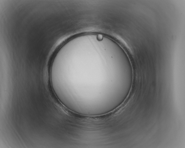 X0000112031270200908031015