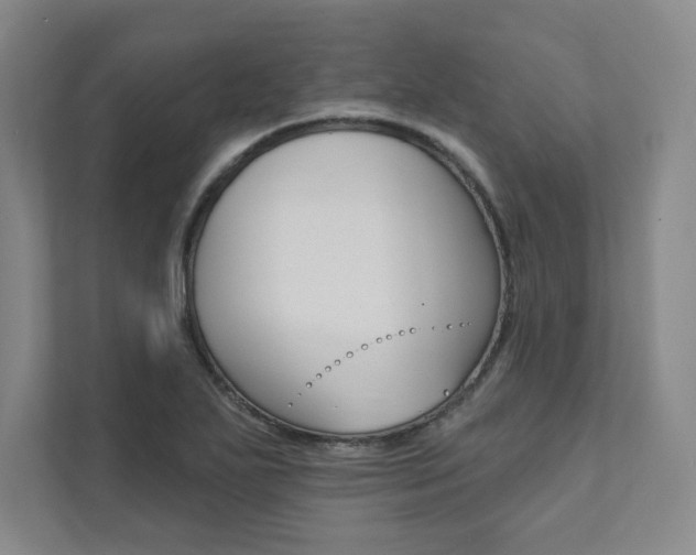 X0000112031271200908031015