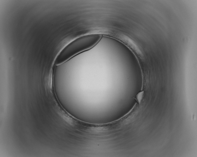 X0000112031276200908031015