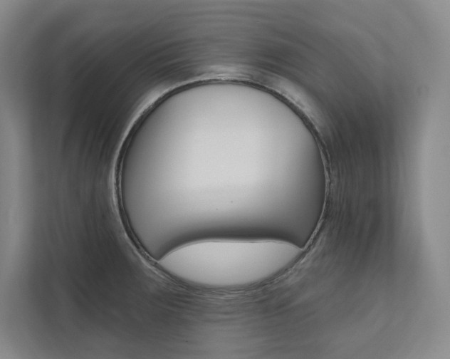 X0000112031283200908031015