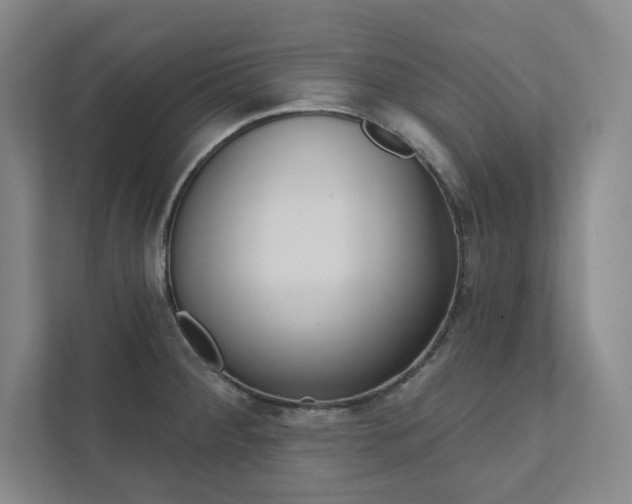 X0000112031284200908031015