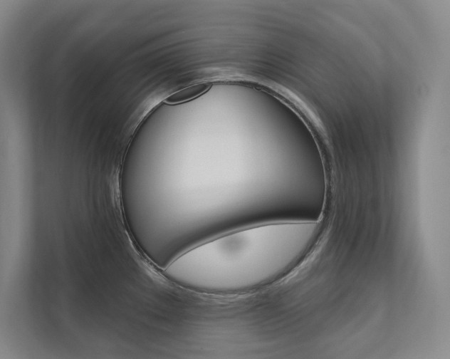 X0000112031289200908031015