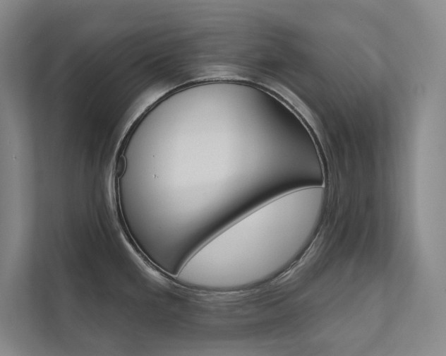 X0000112031293200908031015