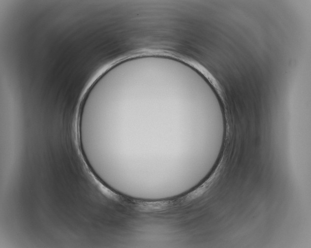 X0000112031294200908031015