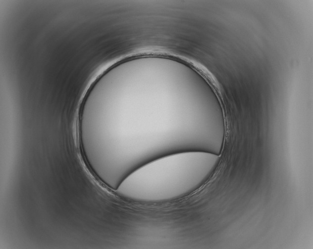 X0000112031295200908031015