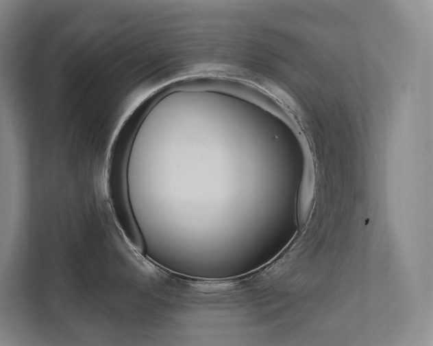 X0000112031296200908031015