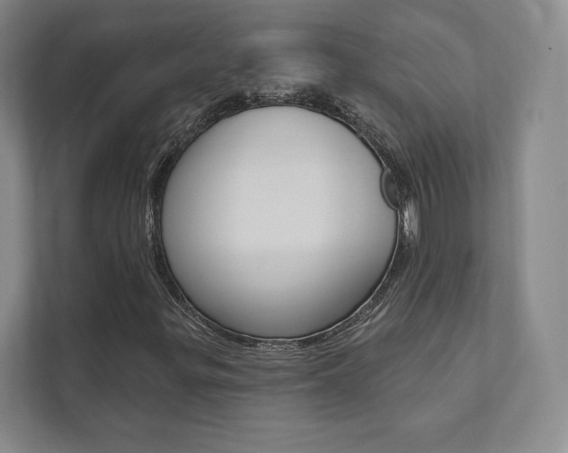 X0000112031299200908031014