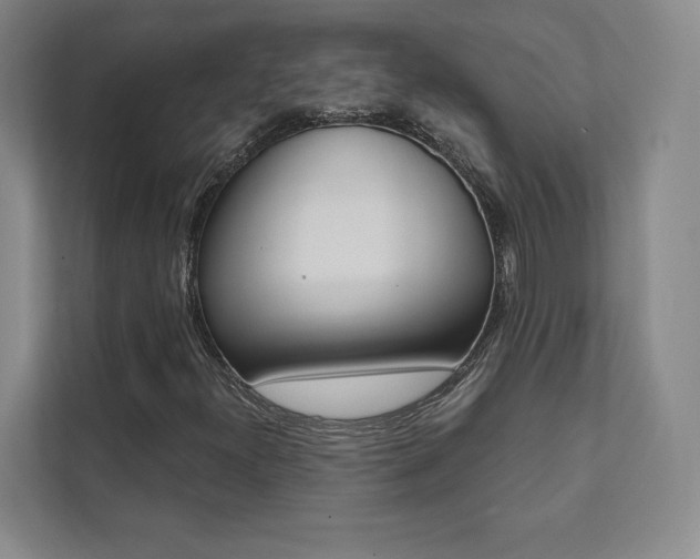 X0000112031300200908031014