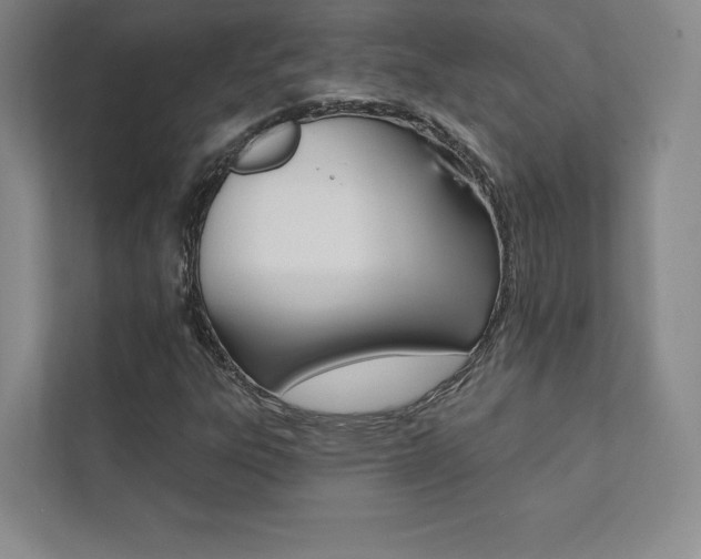 X0000112031303200908031014