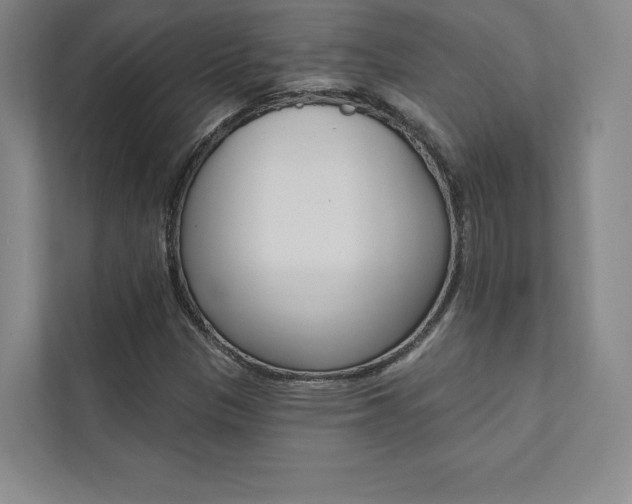 X0000112031305200908031014