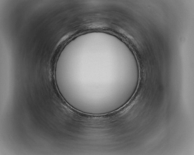 X0000112031306200908031014