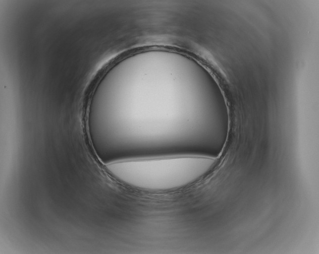 X0000112031312200908031014