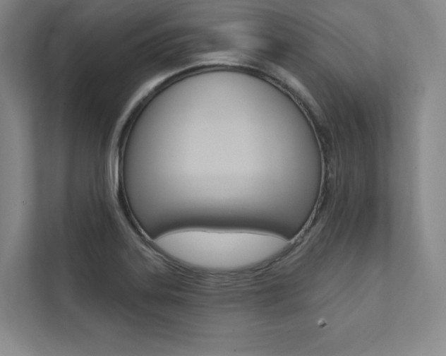X0000112031323200908031014