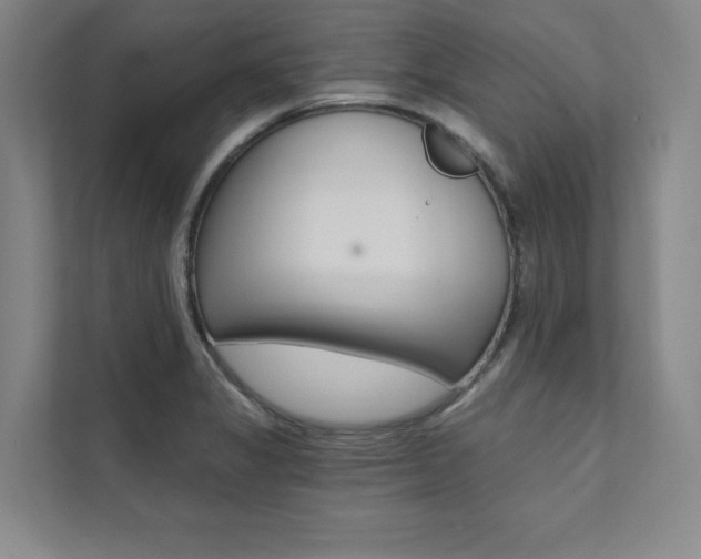 X0000112031325200908031014