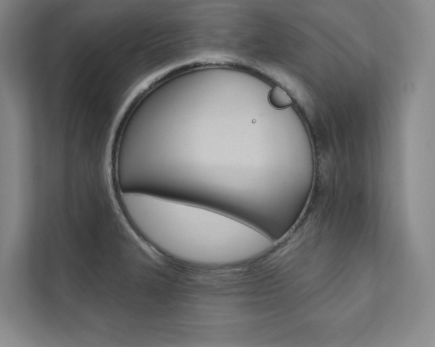 X0000112031327200908031014