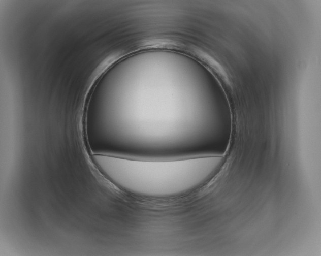 X0000112031330200908031014
