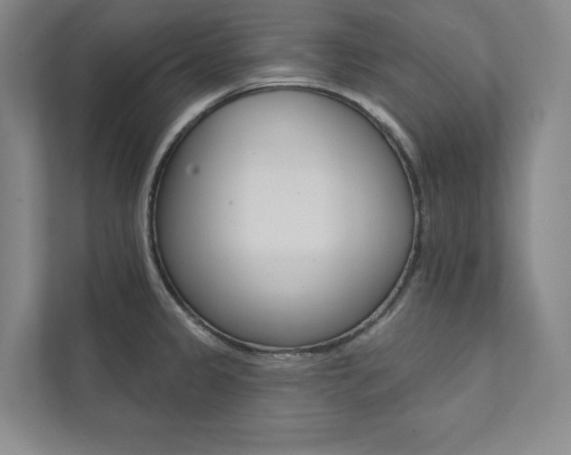 X0000112031333200908031014
