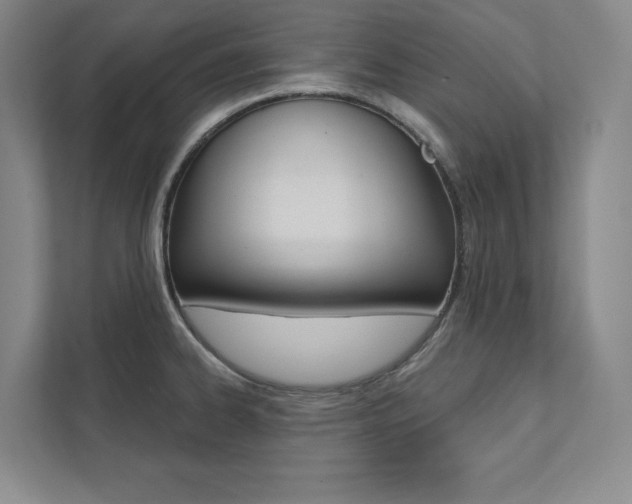 X0000112031334200908031014