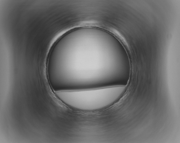 X0000112031336200908031014