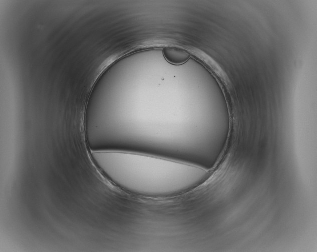 X0000112031337200908031014