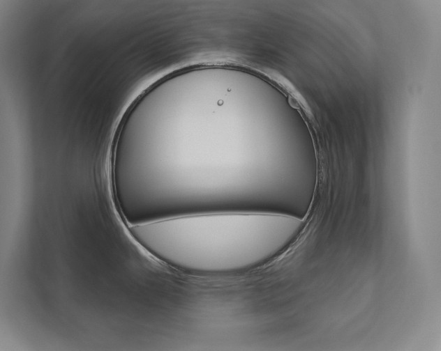 X0000112031343200908031014