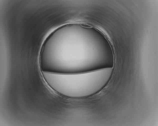 X0000112031344200908031015