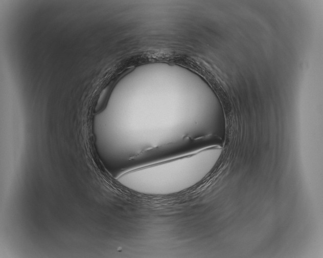 X0000112031345200908031014