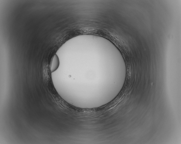X0000112031346200908031014