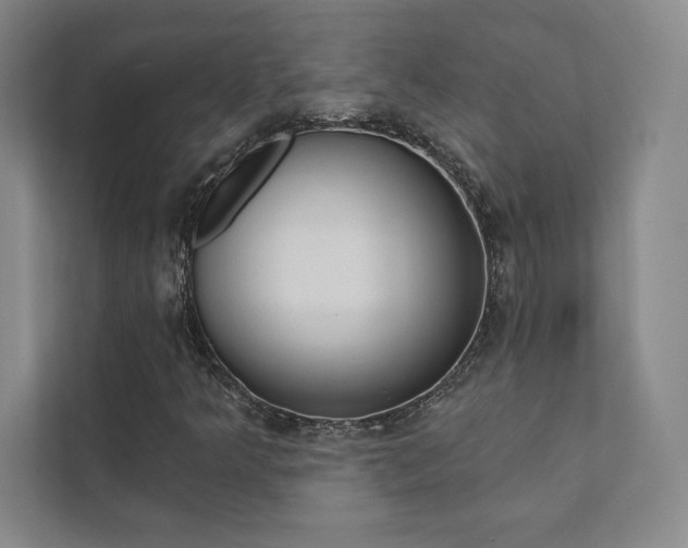X0000112031349200908031014