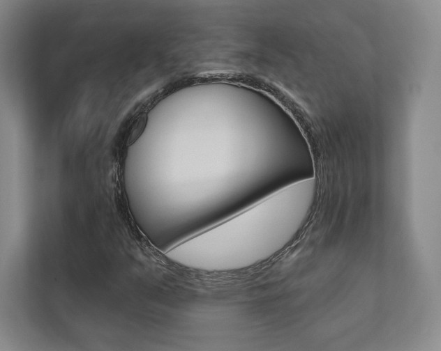 X0000112031351200908031014