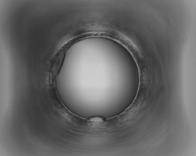 X0000112031352200908031014