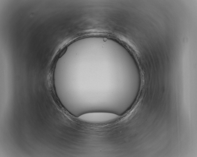 X0000112031357200908031014