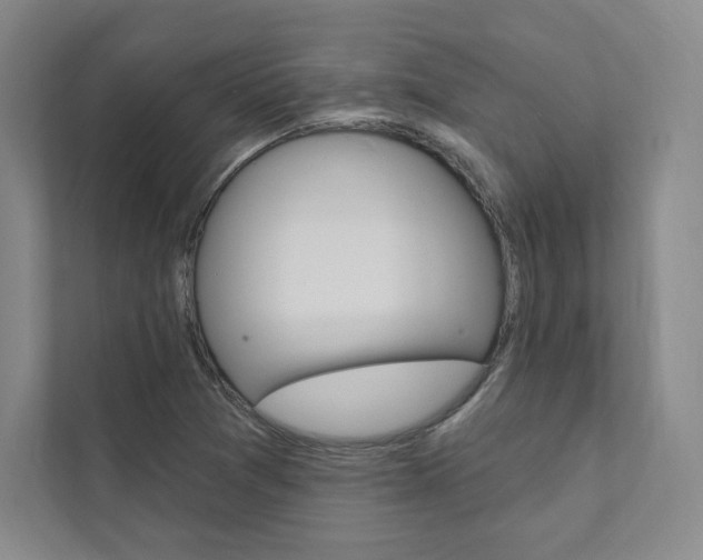 X0000112031361200908031014