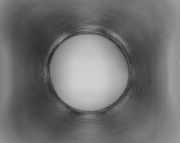 X0000112031362200908031014