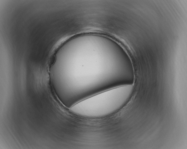 X0000112031363200908031014