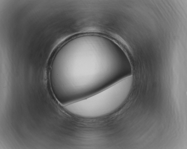 X0000112031364200908031014