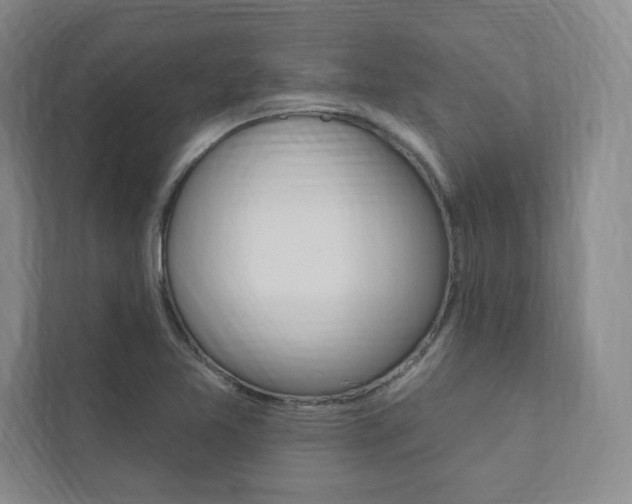X0000112031365200908031014