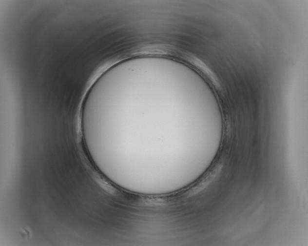 X0000112031370200908031014