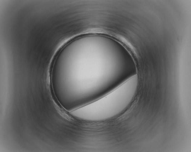 X0000112031372200908031014
