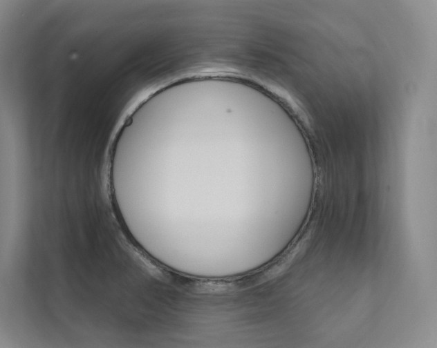 X0000112031374200908031014