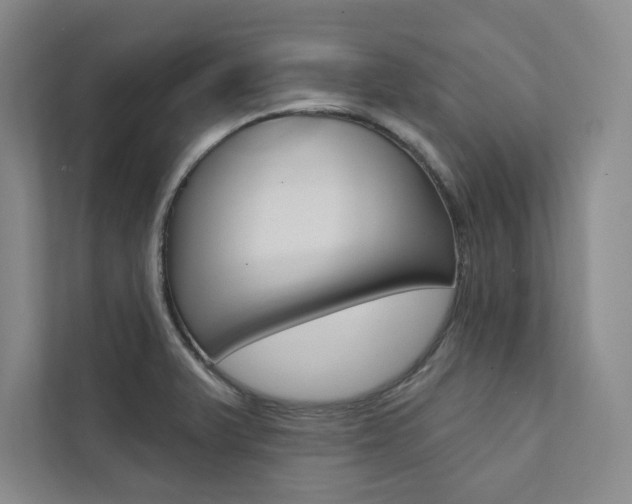 X0000112031375200908031013