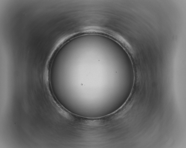 X0000112031376200908031013