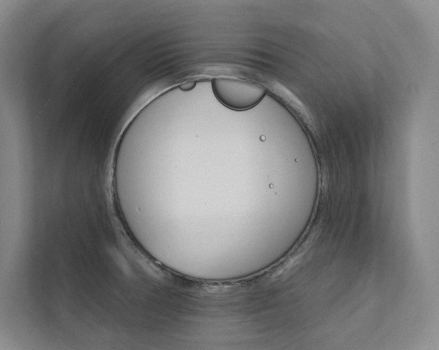 X0000112031378200908031013
